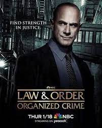 法律与秩序：组织犯罪 第四季第06集